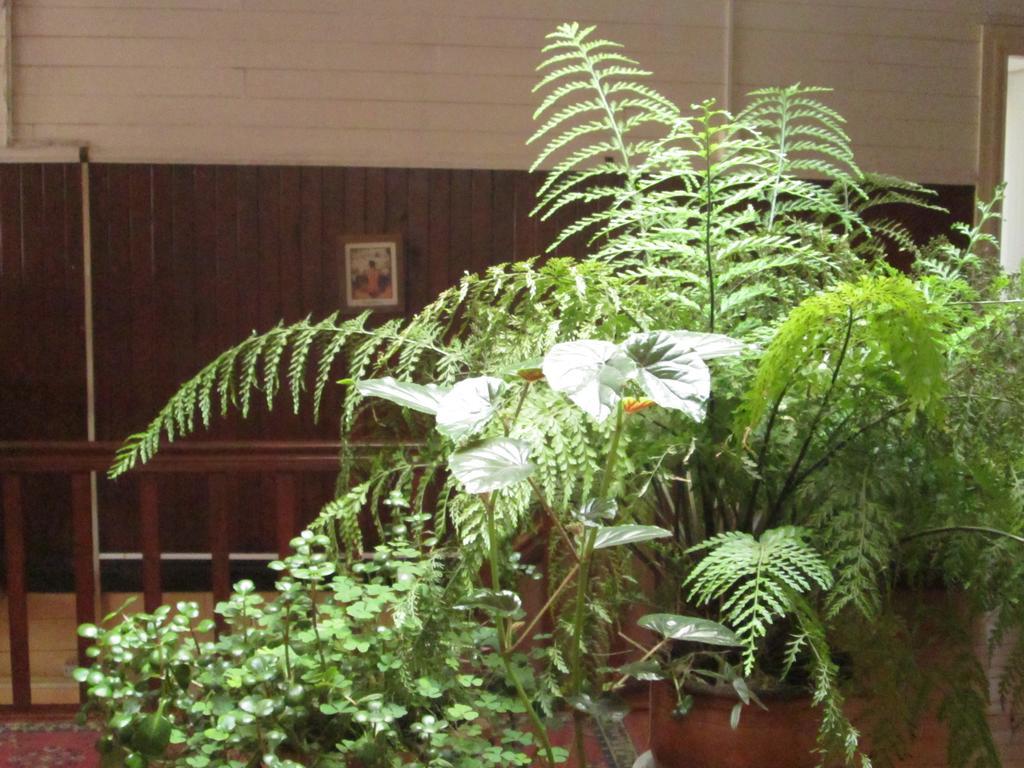 Hostal Patrimonial Angelmo Πουέρτο Μοντ Εξωτερικό φωτογραφία
